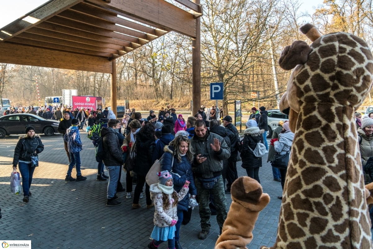 100 forintos nap a Nyíregyházi Állatparkban - fotó Kohut Árpád