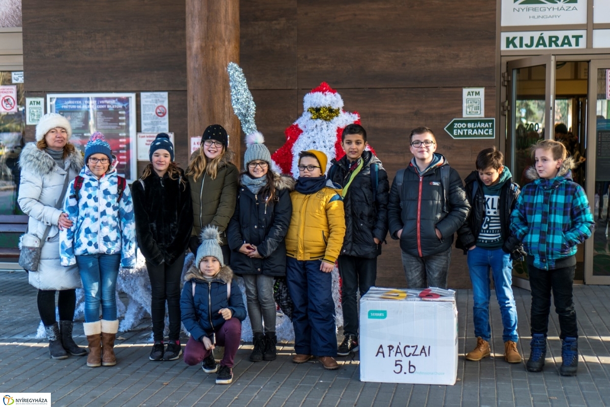 100 forintos nap a Nyíregyházi Állatparkban - fotó Kohut Árpád