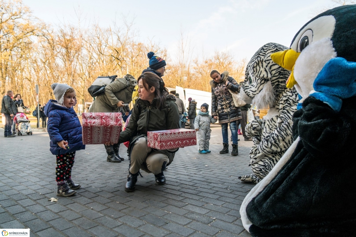 100 forintos nap a Nyíregyházi Állatparkban - fotó Kohut Árpád