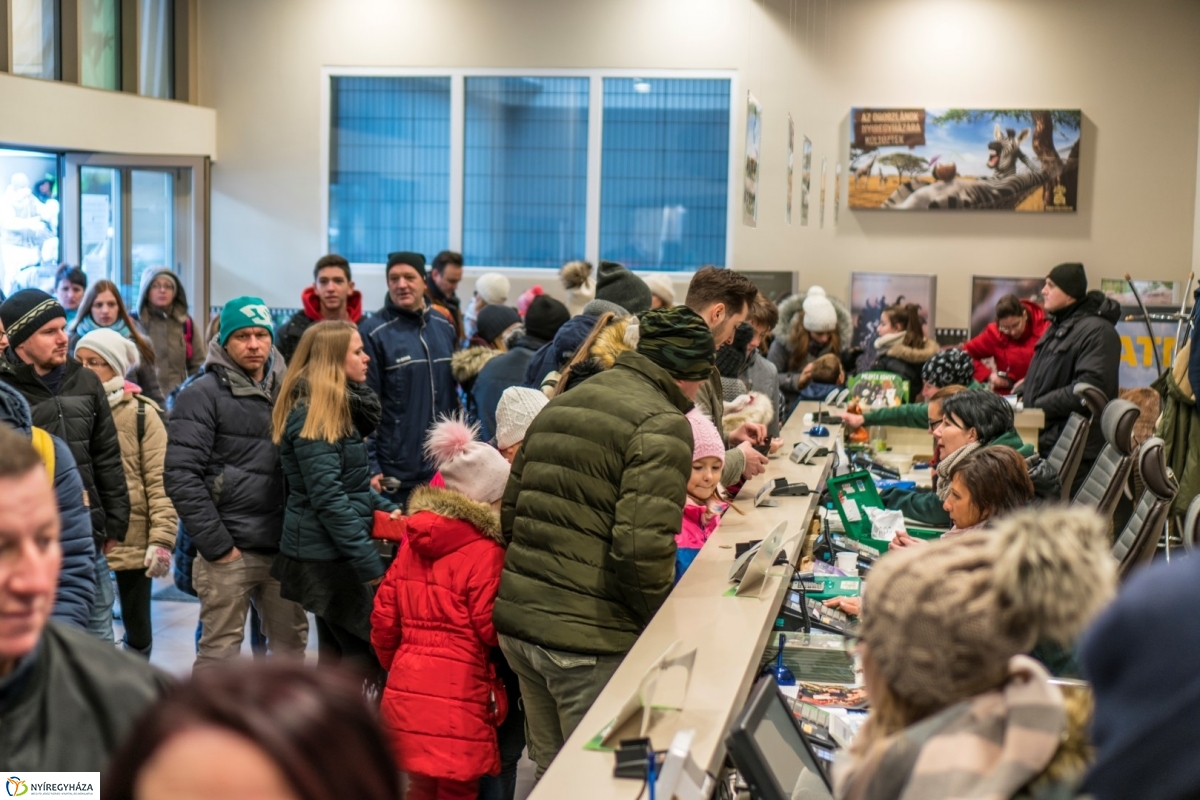 100 forintos nap a Nyíregyházi Állatparkban - fotó Kohut Árpád