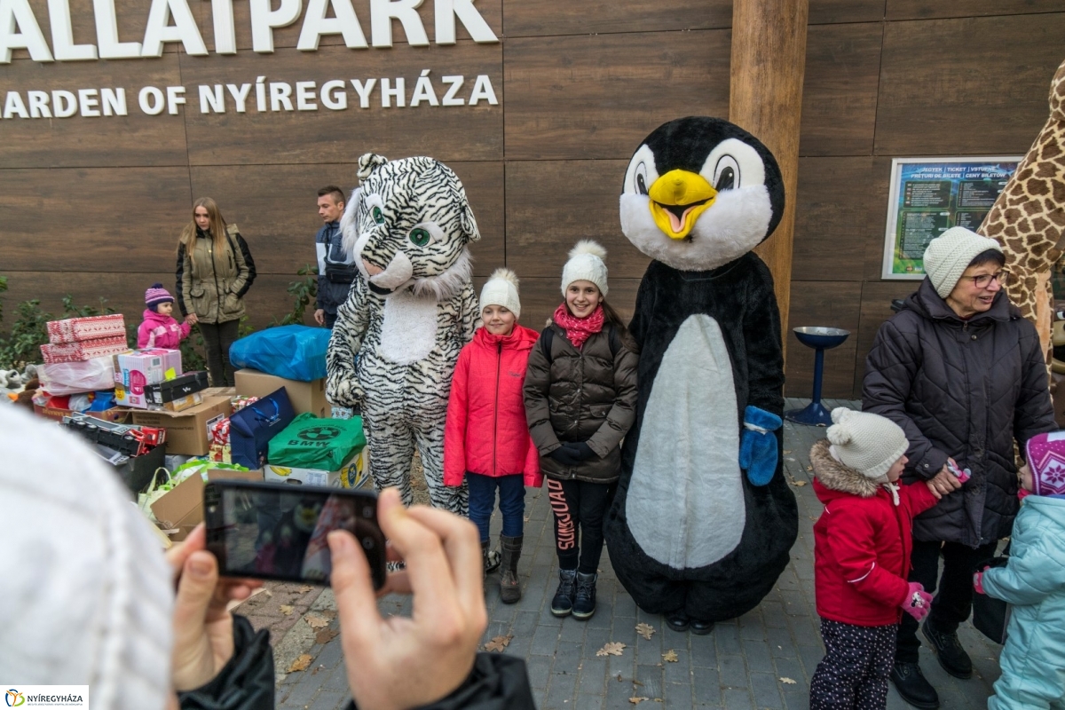 100 forintos nap a Nyíregyházi Állatparkban - fotó Kohut Árpád