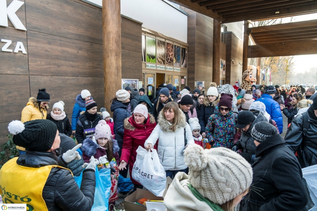 100 forintos nap a Nyíregyházi Állatparkban - fotó Kohut Árpád