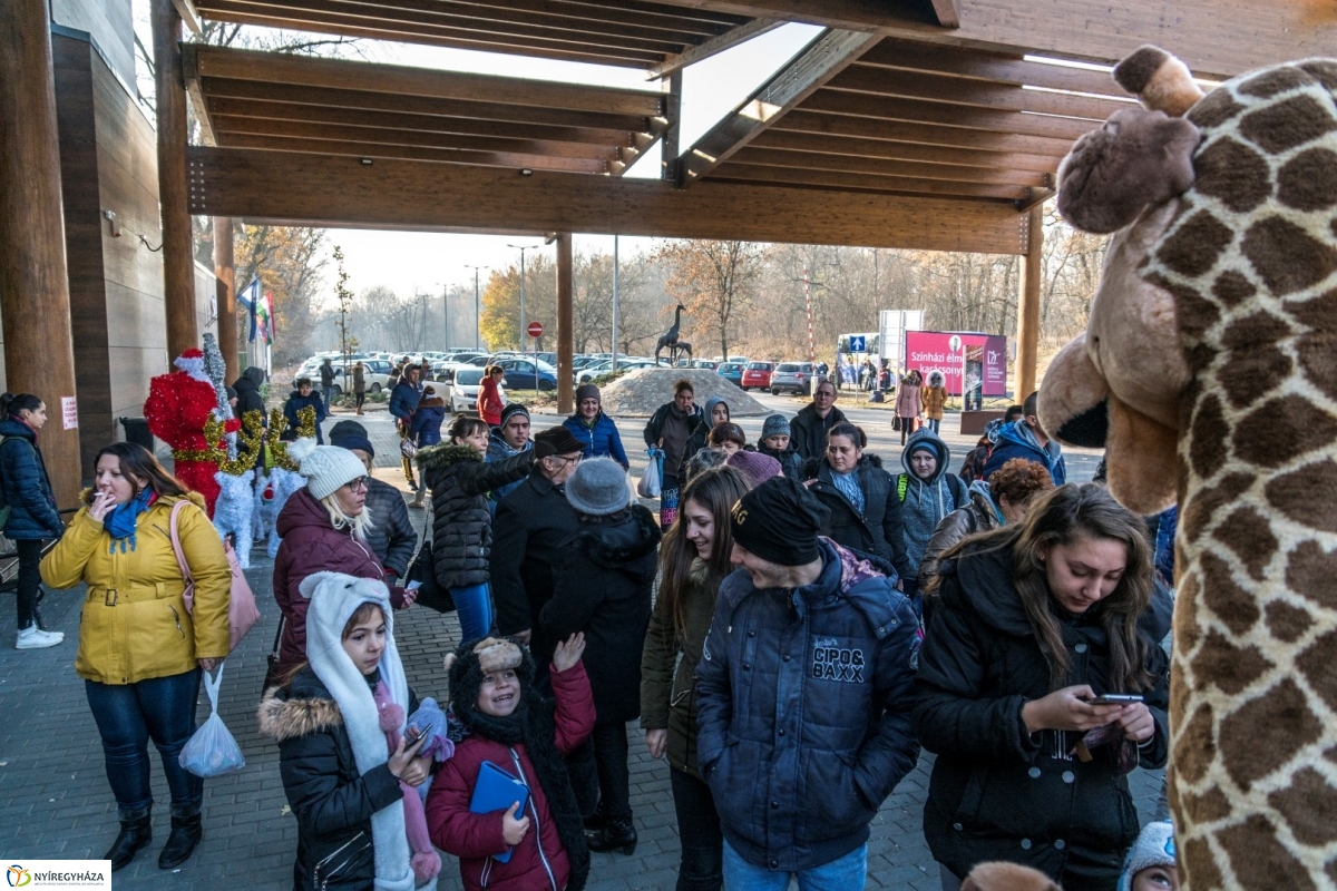 100 forintos nap a Nyíregyházi Állatparkban - fotó Kohut Árpád