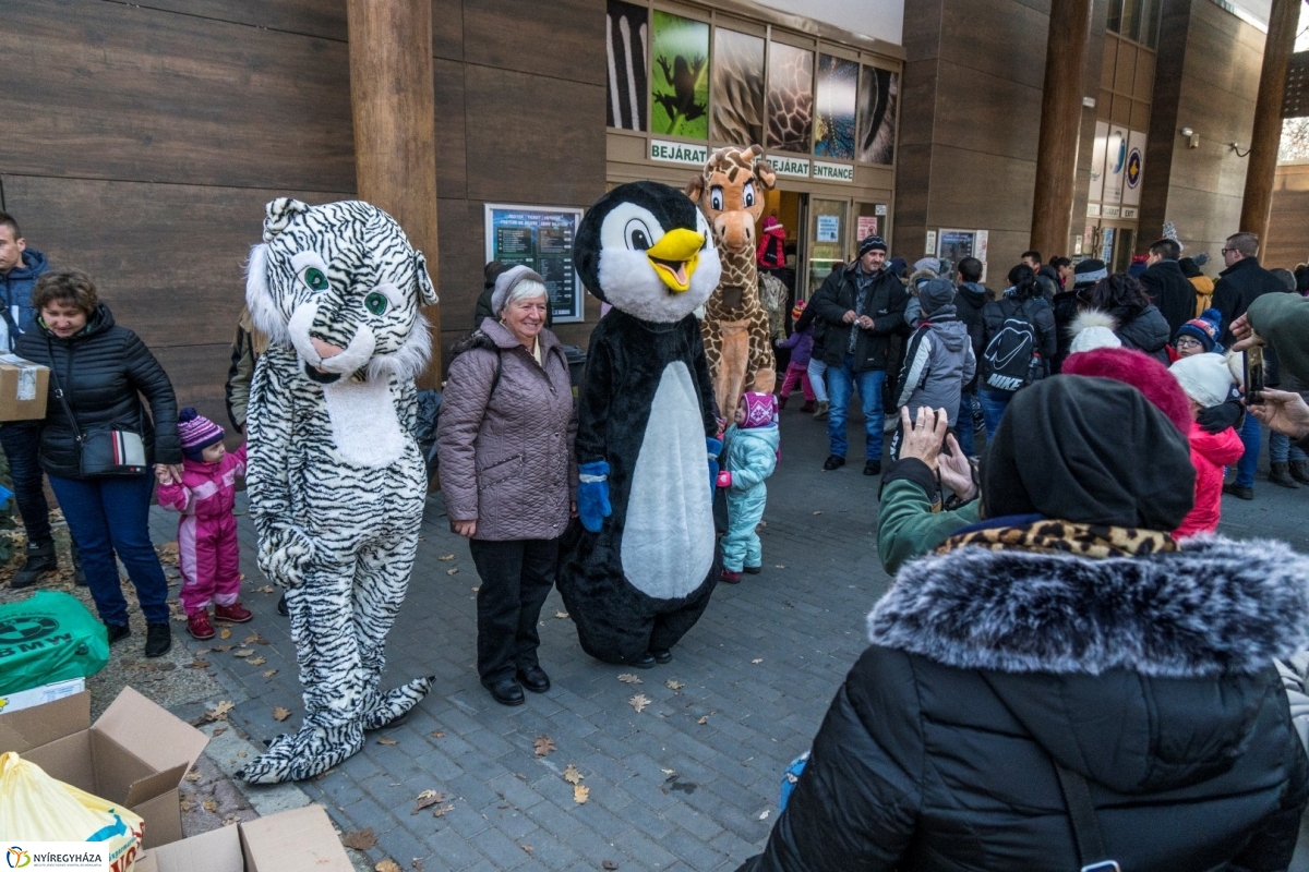 100 forintos nap a Nyíregyházi Állatparkban - fotó Kohut Árpád