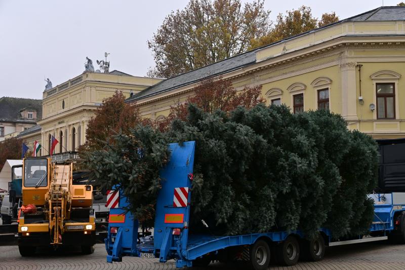 A karácsonyfa útja 2024