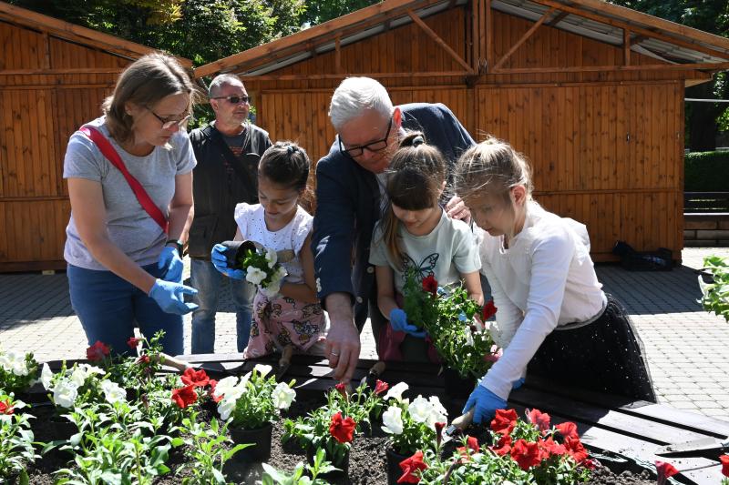 Az ÖKOSuli program keretében a belvárost virágosították a Petőfisek