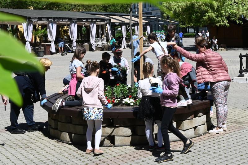 Az ÖKOSuli program keretében a belvárost virágosították a Petőfisek