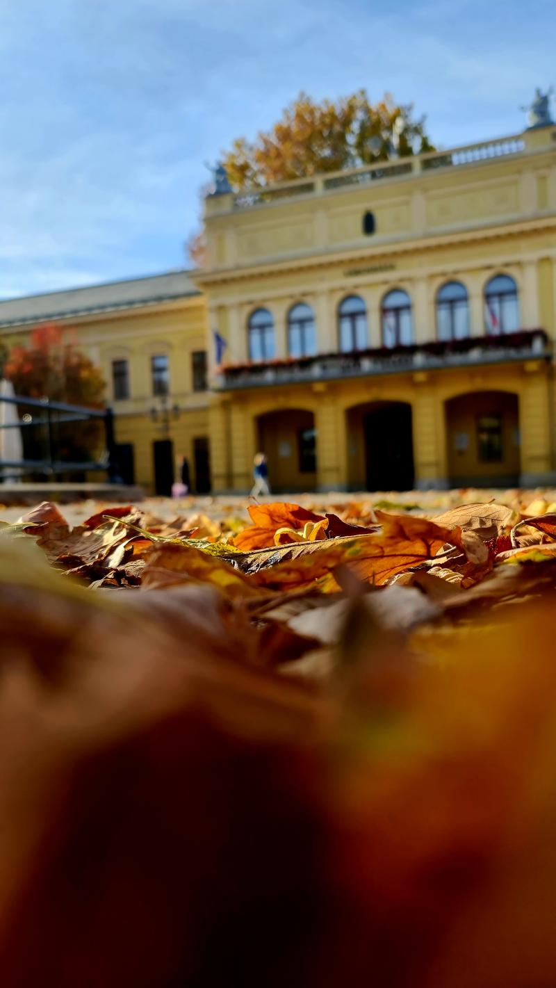 Az ősz színei Nyíregyházán