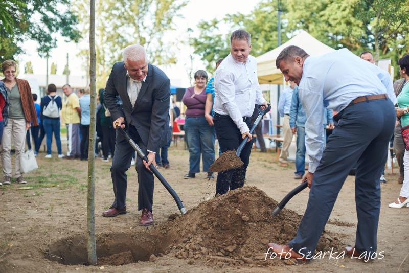 Barnamezős családi nap