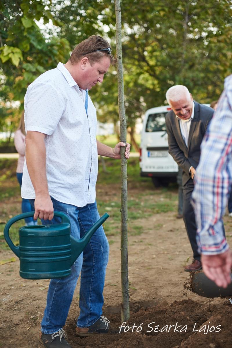 Barnamezős családi nap