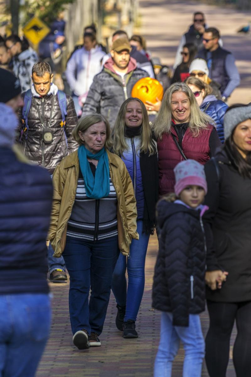 Halloween a Nyíregyházi Állatparkban