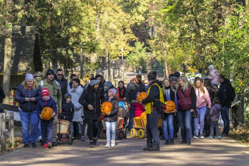 Halloween a Nyíregyházi Állatparkban