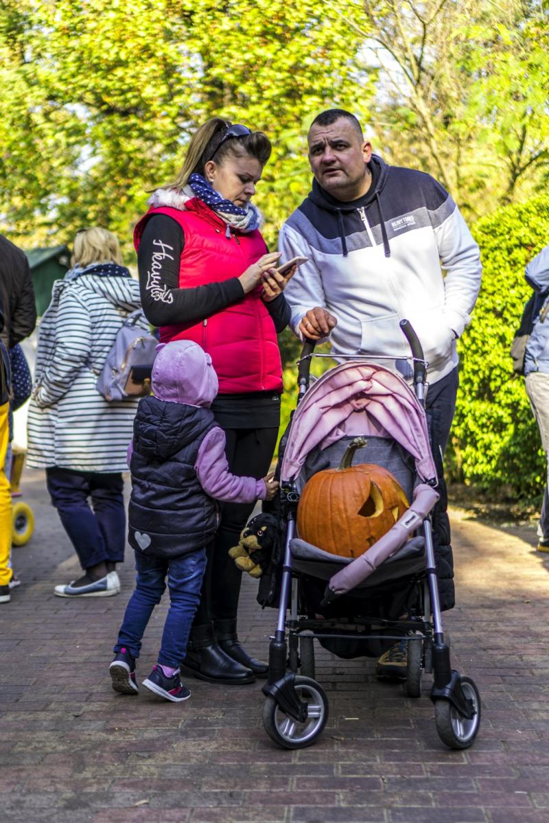 Halloween a Nyíregyházi Állatparkban