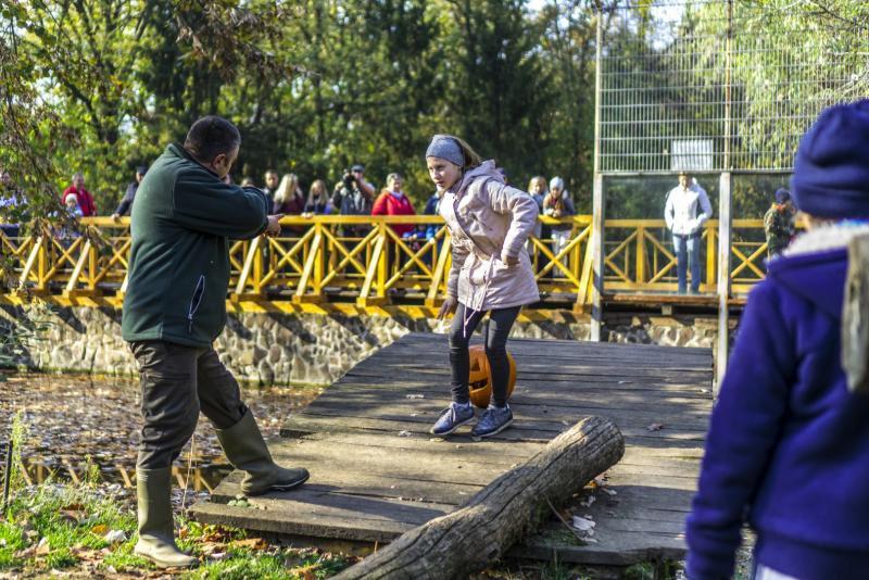 Halloween a Nyíregyházi Állatparkban