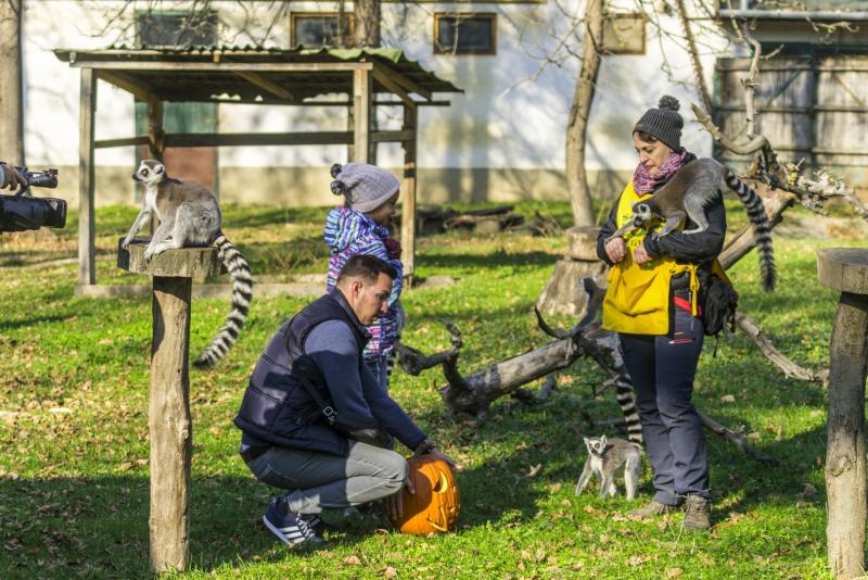 Halloween a Nyíregyházi Állatparkban