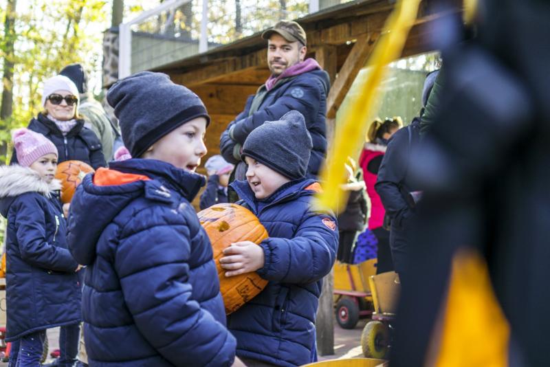 Halloween a Nyíregyházi Állatparkban