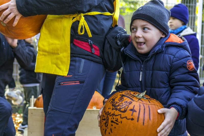 Halloween a Nyíregyházi Állatparkban