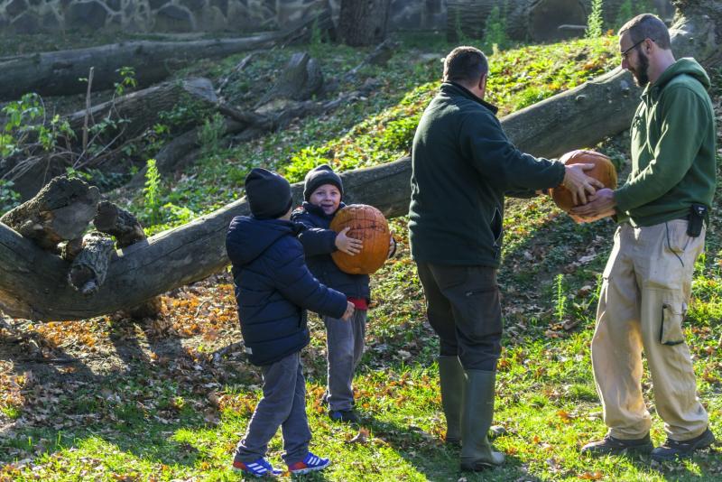 Halloween a Nyíregyházi Állatparkban