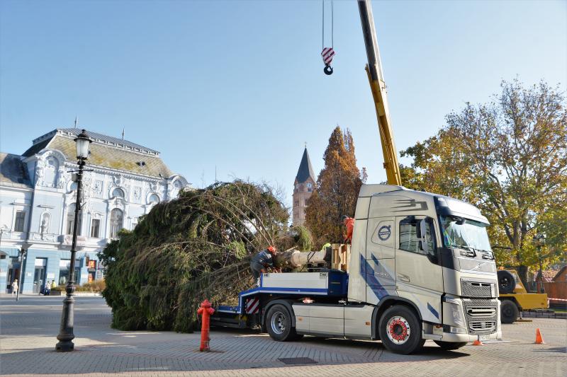 Helyére került a karácsonyfa a Kossuth téren