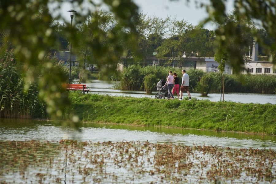 Hétköznapi pillanatok a Bujtosi Városligetben