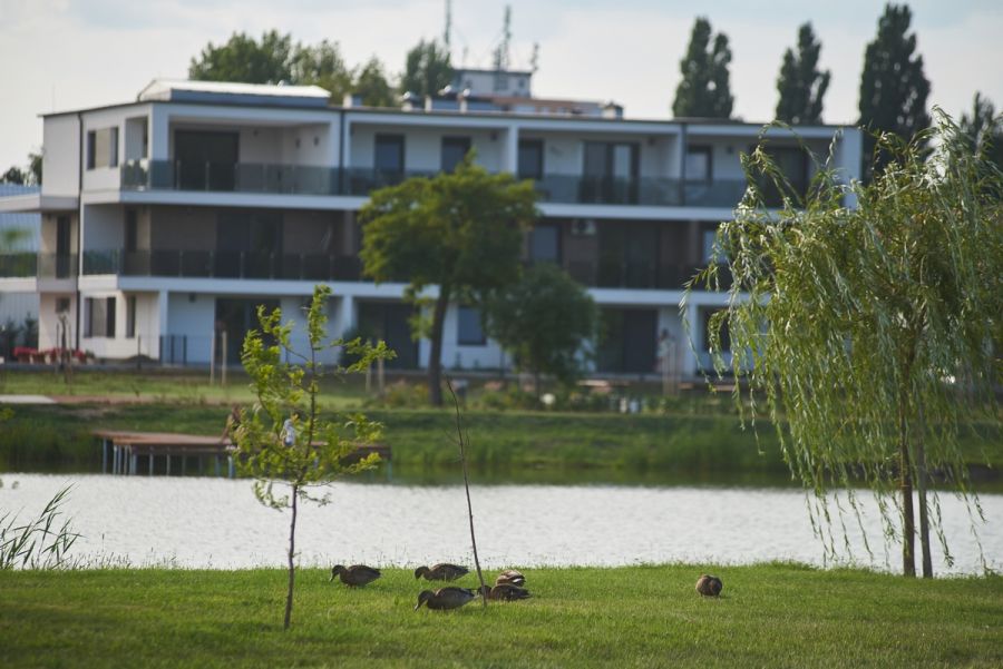 Hétköznapi pillanatok a Bujtosi Városligetben