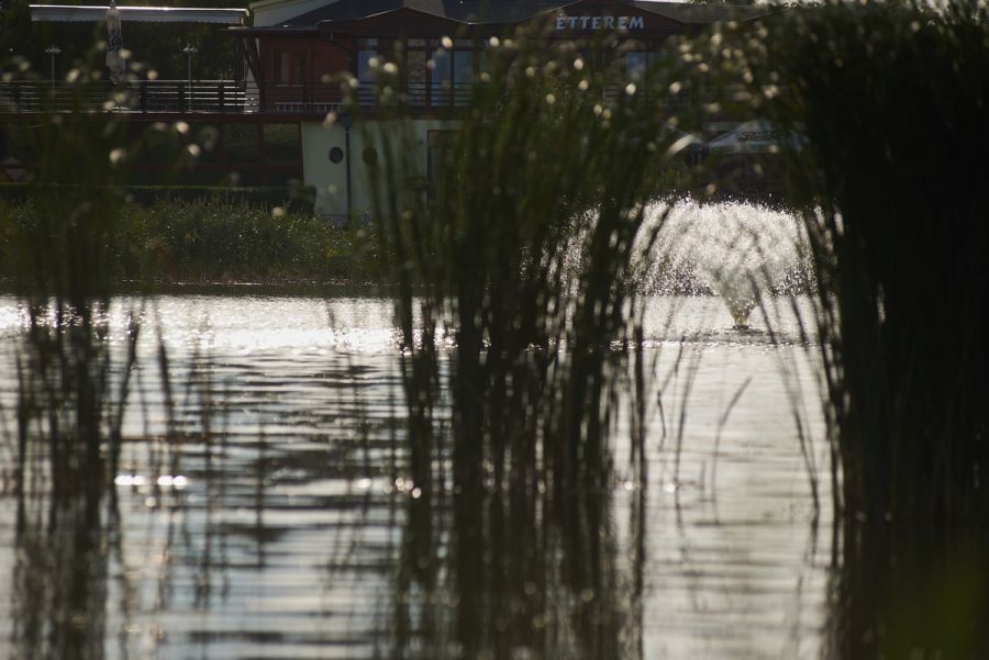 Hétköznapi pillanatok a Bujtosi Városligetben