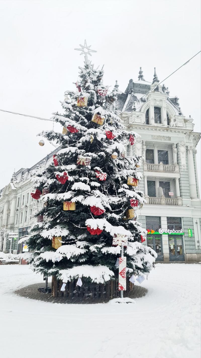 Hófedte Nyíregyháza