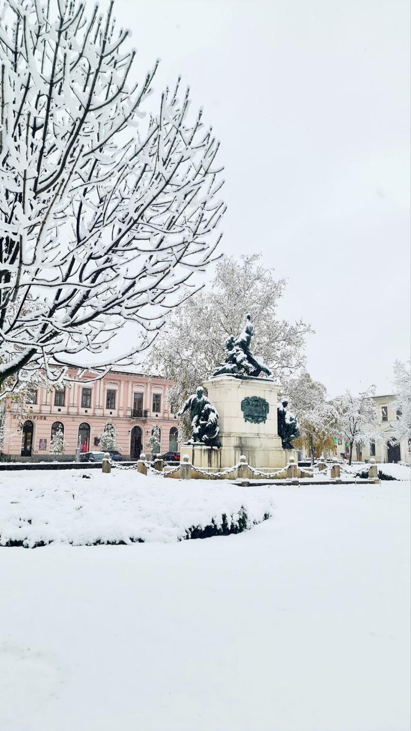 Hófedte Nyíregyháza