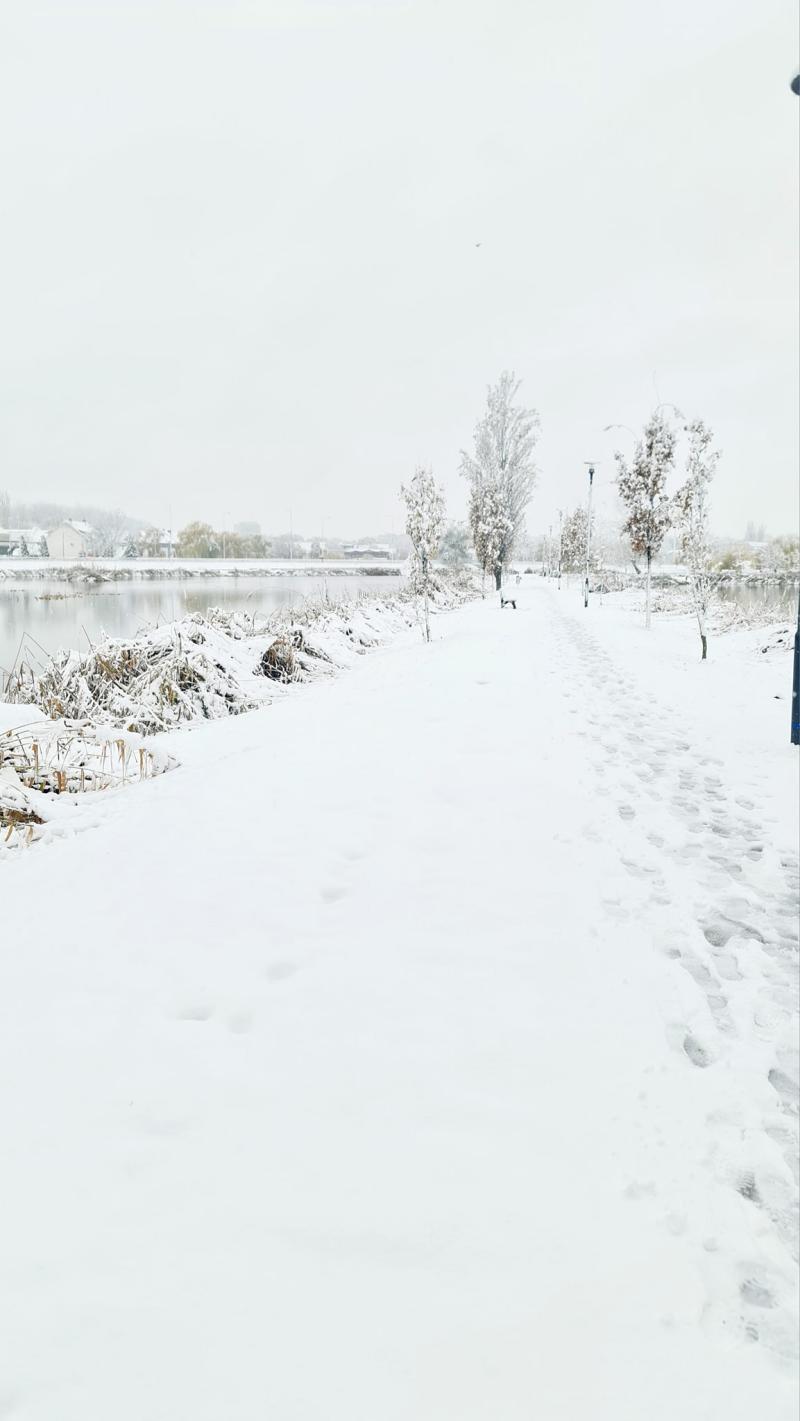 Hófedte Nyíregyháza