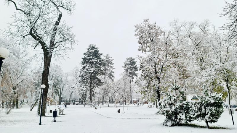 Hófedte Nyíregyháza