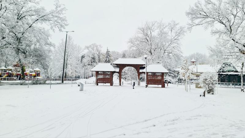 Hófedte Nyíregyháza