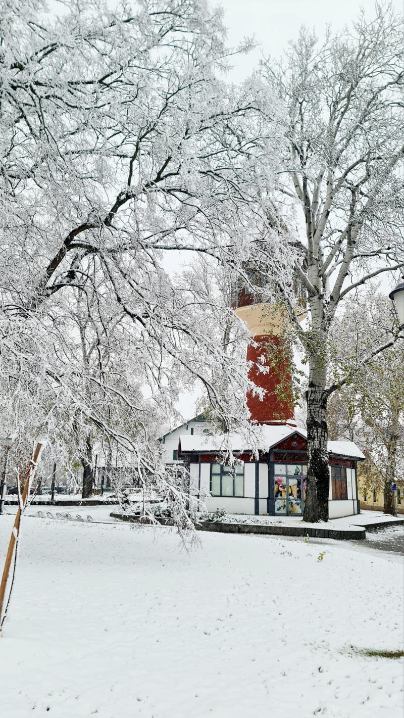 Hófedte Nyíregyháza