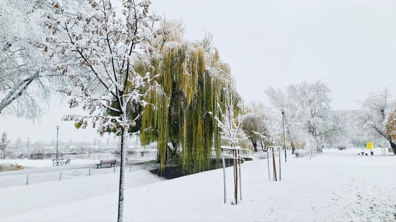 Hófedte Nyíregyháza