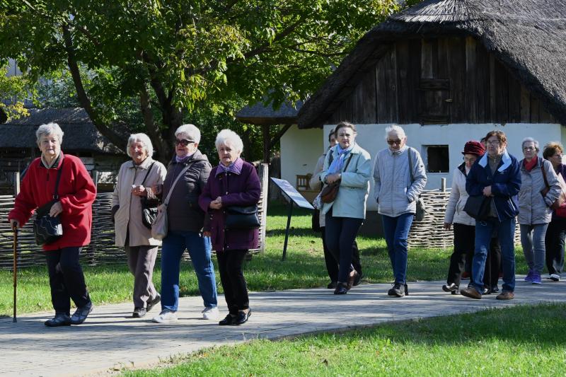 Idősek Világnapja 2024