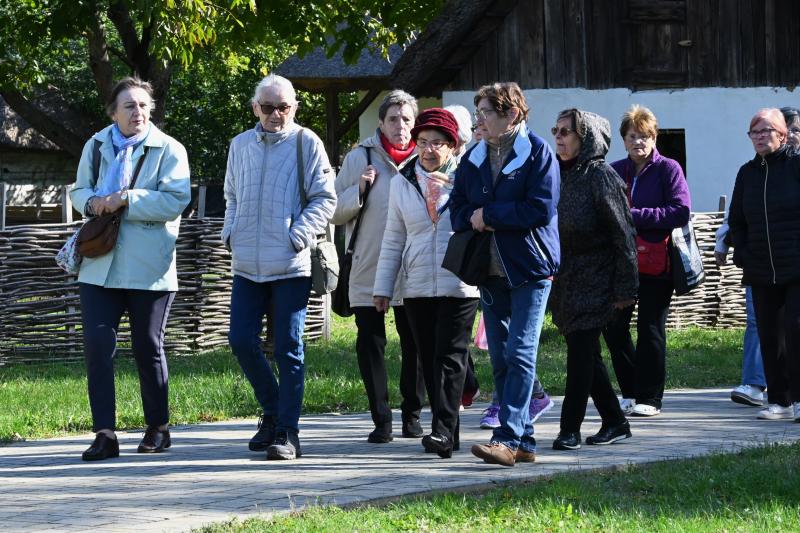 Idősek Világnapja 2024