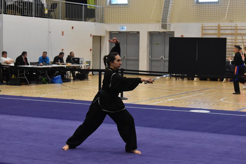 Jelentős sikert értek el a nyíregyházi sportolók a Kungfu/Wushu Országos Bajnokság I. fordulóján