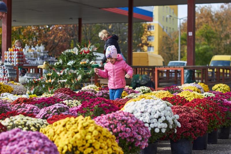 Jósavárosi virágpiac