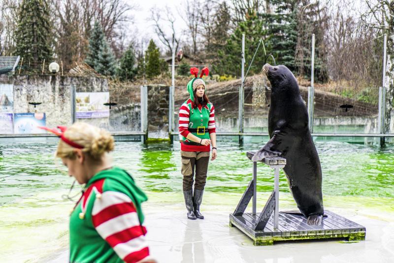 Karácsonyi családi nap a Nyíregyházi Állatparkban