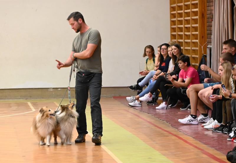 Kutatók éjszakája a Nyíregyházi Egyetem Testnevelési és Sporttudományi Intézetében