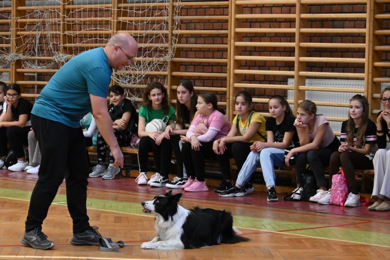 Kutatók éjszakája a Nyíregyházi Egyetem Testnevelési és Sporttudományi Intézetében