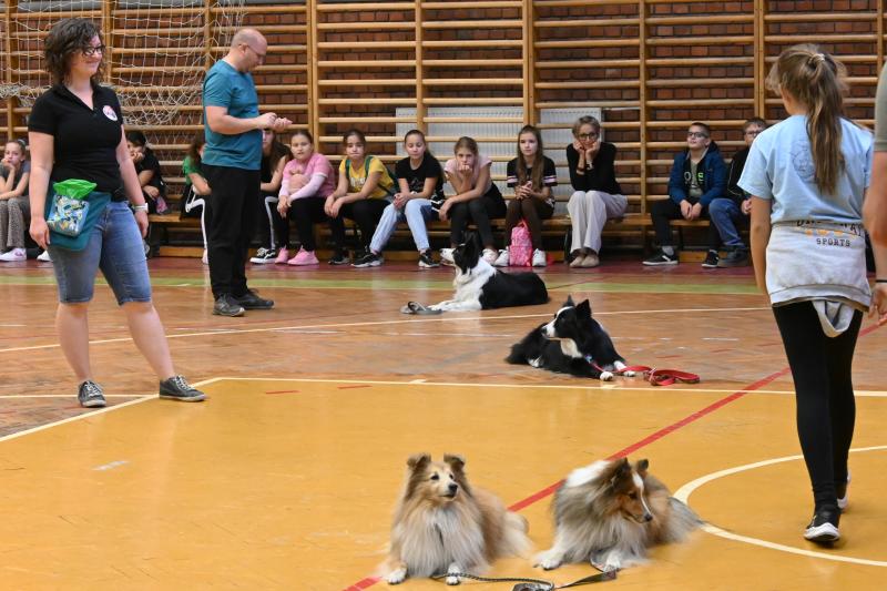 Kutatók éjszakája a Nyíregyházi Egyetem Testnevelési és Sporttudományi Intézetében