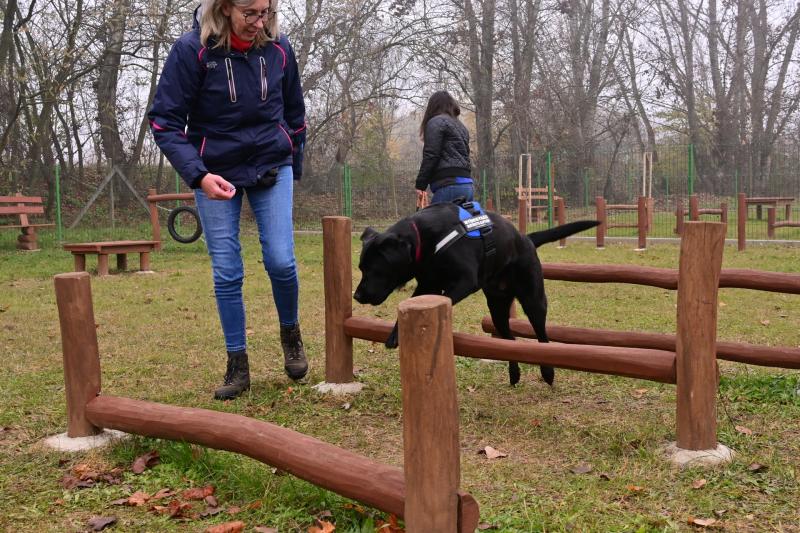 Kutyafuttató Nyírszőlősön 2024