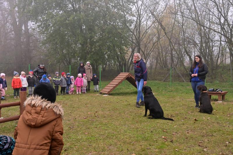 Kutyafuttató Nyírszőlősön 2024