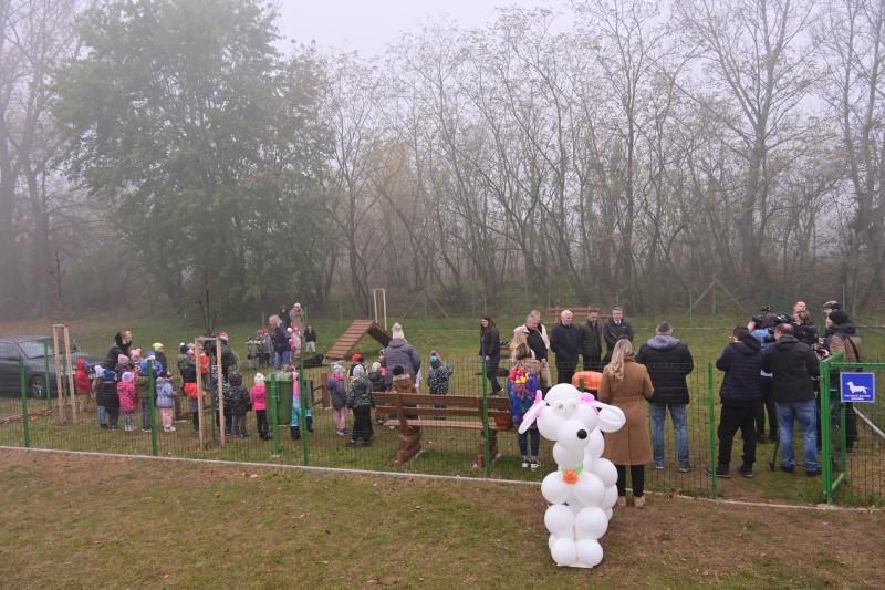 Kutyafuttató Nyírszőlősön 2024