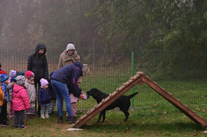 Kutyafuttató Nyírszőlősön 2024