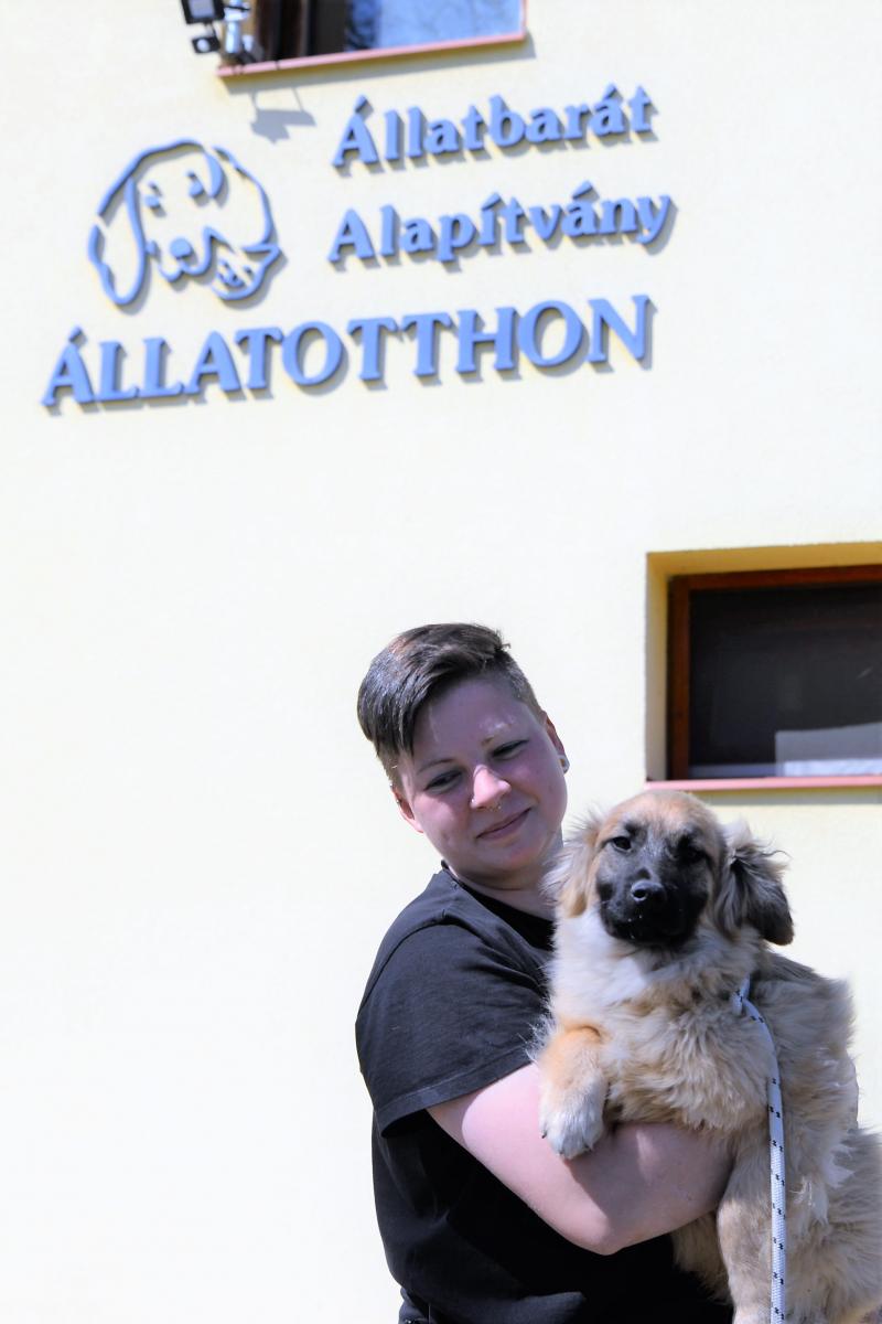 Látogatás az Állatbarát Alapítvány Állatotthonában