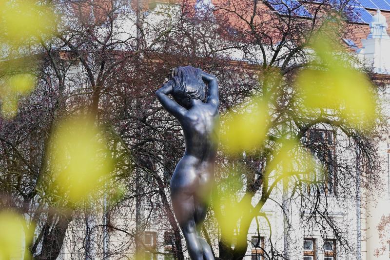 Megérkeztek az első tavaszi virágok a belvárosba