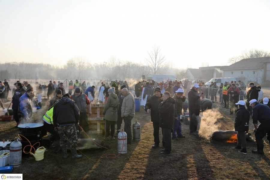 Megkezdődött a Disznótoros Fesztivál