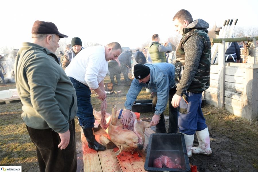 Megkezdődött a Disznótoros Fesztivál