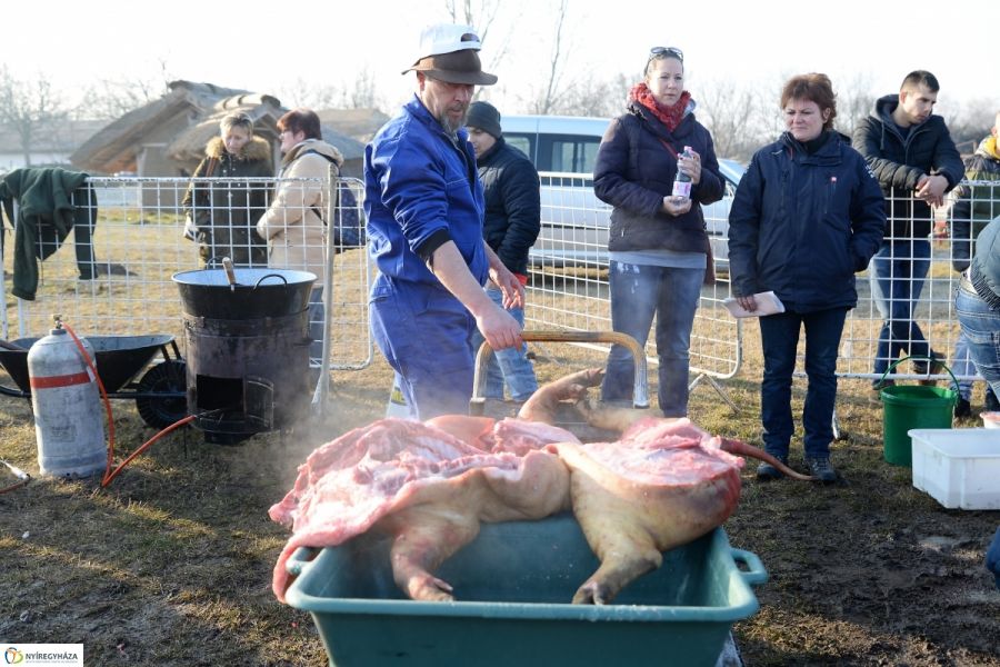 Megkezdődött a Disznótoros Fesztivál